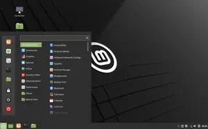 A screenshot of Linux Mint with cinnamon desktop