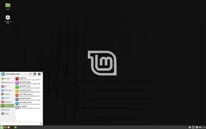 A screenshot of Linux Mint with xfce desktop