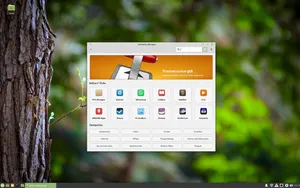 A screenshot of Linux Mint with Cinnamon software center